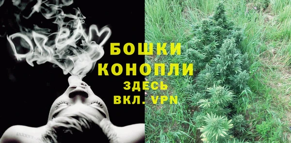 спайс Гусев